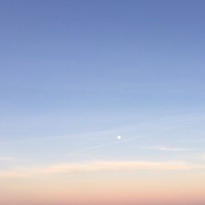 Meet your Posher, Chloe